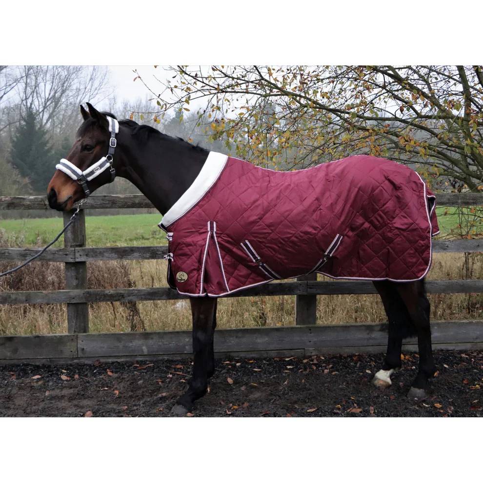 Horse / Pony Clearance